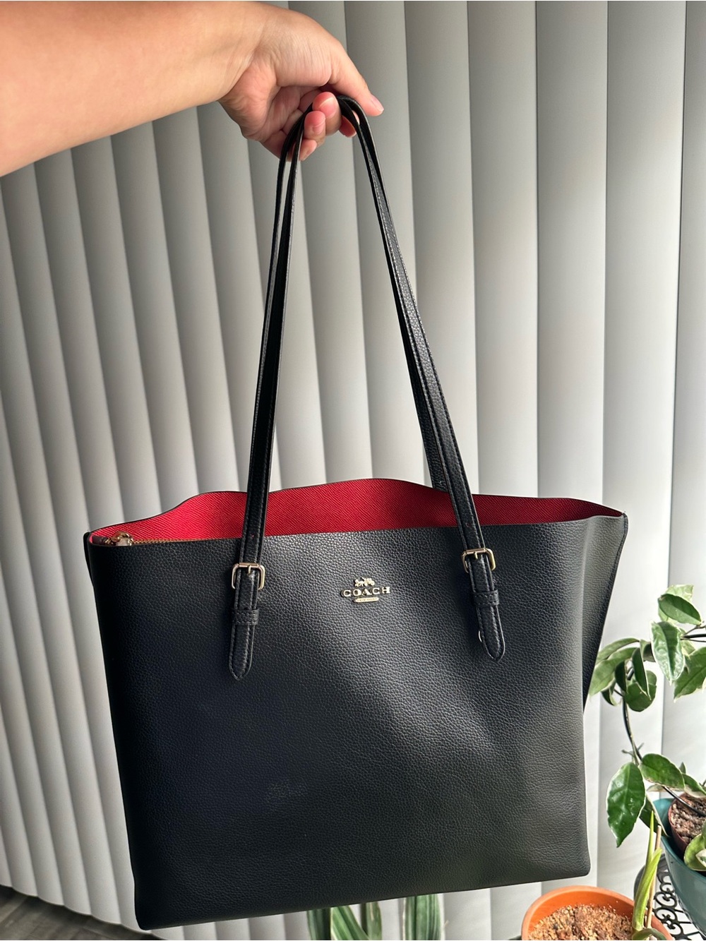 Coach Mollie Tote Bag